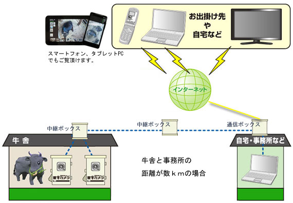 example_03 牛舎と事務所(自宅)の距離が数kmの場合