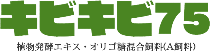 キビキビ75