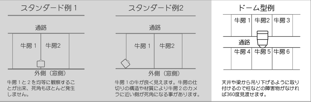 養牛カメラ取付例